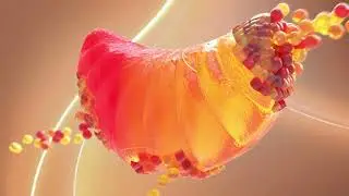 TopGum | Vitamin C Gummy -3D Product Video | by Breeze Animation