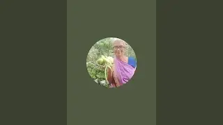 Haimavathi krishivlog is live