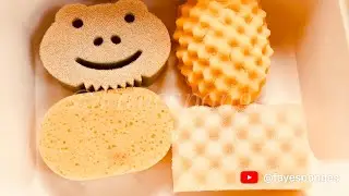 ASMR bulk variety damp bleached sponge rip. Ripping foam and plastic sponges #crunchy  #getfayeto1k