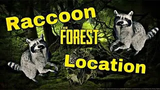 The Forest (PS4) Raccoon Location