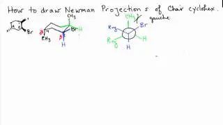 Double Newman Projection Chair Cyclohexane