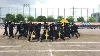 平成29年度小松川高校体育祭 黄団