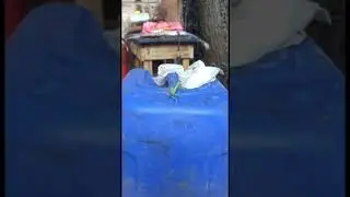 #багамол #война #сво #россия #точка #кто #втеме #тот #поймет