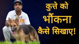 How to teach your dog to bark. Mind blowing tips 😯🔥