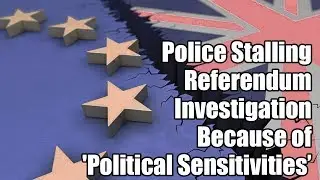 Police Stalling Investigation into EU Referendum Lawbreaking over 'Political Sensitivities'