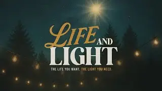 Don't Miss the Light