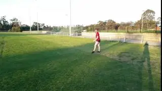 Fly roll