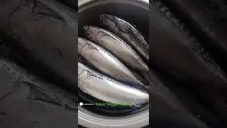 cara menyimpan ikan tongkol segar agar awet #food #fish #cooking #resep #recipe #kitchen
