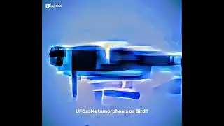 UFOS  HYBRID METAMORPHE OR NATURAL BIRDS,MESSAGER HYBRIDE EXTRATERRESTRE M.CLAP 