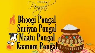 What is Pongal ? | How 4 days Pongal Celebrations Happening ?| Explained Shortly in Tamil By Chandru