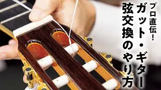 ガット・ギターの弦交換の方法を、クロサワ楽器日本総本店クラシックギターフロアの渡辺店長が直伝！