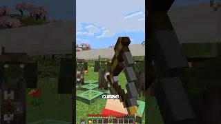 Smartest way to cure zombie villagers #minecraft