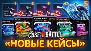 Проверка Новых Кейсов 