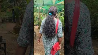 Nature Lovers #nature #lovers #love #shorts #trending #viral