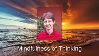 Insight San Diego: Kim Allen on 