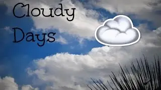 Cloudy Days | Bethy Reklaitis
