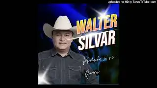 Walter Silva,,,, Muchacha si me quereis