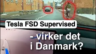 Hvordan klarer Tesla FSD danske veje?