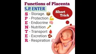 Functions of the Placenta; Nutrient Supply, Respiratory Exchange, Waste Removal, Hormone Production