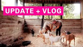 NEW UPDATES ON MY BRAND AND DAY IN THE LIFE AT THE HACIENDA! Aaryn Williams Vlog