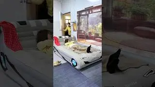 Automatic inflatable bed, automatic inflation and deflation,voice intelligent model frees your hands