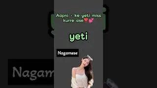 missing you here❣️💞 #nagameselanguage #love #nagaland #nagachukri #basicnagamese
