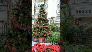 Top 10 Places to Visit in the U S  During December