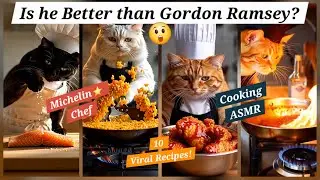 Ultimate Chef Cat ASMR: 10 Viral Recipes You Won&rsquo;t Believe!