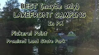 Pickerel Point Lakefront Camping/Kayaking in PA #scenicpennsylvania #dog #vanlife