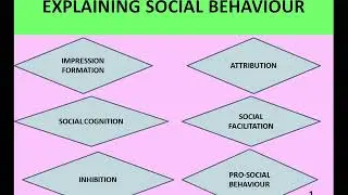 EXPLAINING SOCIAL BEHAVIOUR