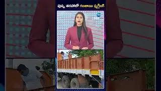 Ganja Smuggling Like the Style of Pushpa Film | పుష్ప తరహాలో గంజాయి స్మగ్లింగ్ | ZEE Telugu News