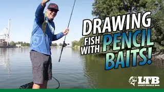 Drawing in Fish with a Pencil Bait | Lucky Tackle Box