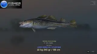 fisher Online - mer de NORVEGE - journa MORUE de L'ATLANTIQUE
