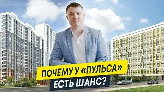 Почему ЖК Цивилизация может дешеветь, а Пульс и Пульс Премьер &ndash; вряд ли | Новостройки СПб
