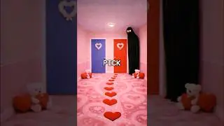 Which Door Are You Choosing?