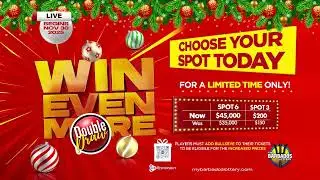 Double Draw #33338 13-12-2025