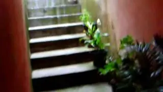 Sobrado para renda com &oacute;tima localiza&ccedil;&atilde;o