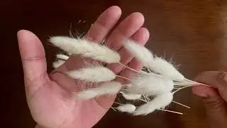 Prepping White Bunny Tail Grass Dried Flowers for DIY Wreaths