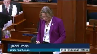 Senator Cathy Giessel - Medicaid Special Order