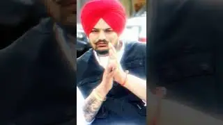 never fold nevervackdown 🦁👑✨ #unfrezzmyaccount #5mveiws #sidhumoosewala #1000subscriber #punjab