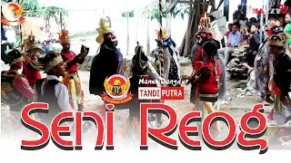 SENI REOG 4 II TANDI PUTRA II KARANGGETAS BLOK BOJONG MELATI - BANGODUA