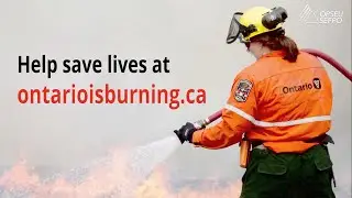 Ontario is burning: support forest fire workers