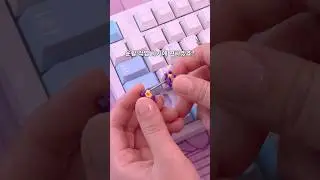 덕질하기도 전에 지친다.. 스테빌라이저! 그게 대체 뭐야ㅠㅠ #keyboard #키보드