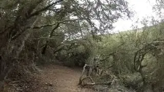 Del Mar Mesa Preserve Mountain Biking 2