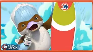 Ferdinand the Kookaburra Learns to Surf! 🏄 | Funny Cartoons for Kids 😊 | Kangaroo Beach