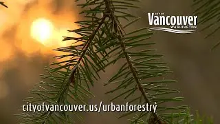 Plant a tree! Grow Vancouver!