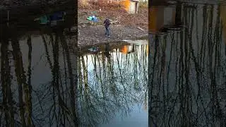 Forelle auf UL RUTE #fishing #angeln #fish