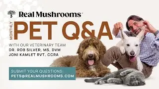 July 2025 Live Pet Q&A with Dr. Rob Silver DVM, MS & Joni Kamlet, RVT, CCRA
