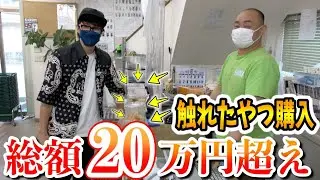 関東最大級の昆虫ショップでも店長が触れた生体を購入したら思ってない展開過ぎた