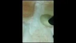 mac brush cleanser demo